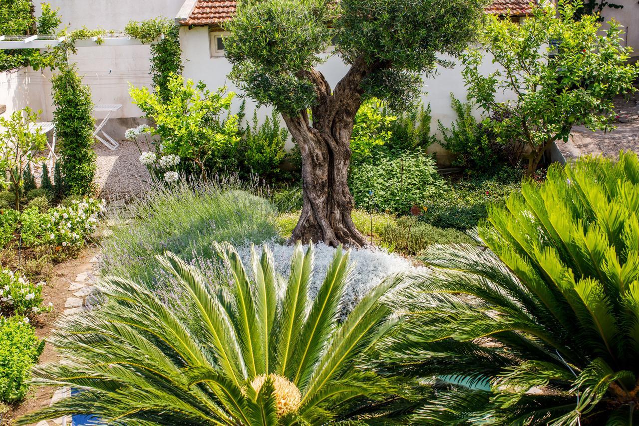 Reggine Holiday Apartments Sant'Agnello Luaran gambar