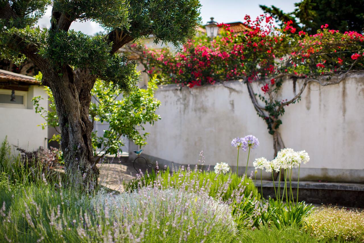 Reggine Holiday Apartments Sant'Agnello Luaran gambar