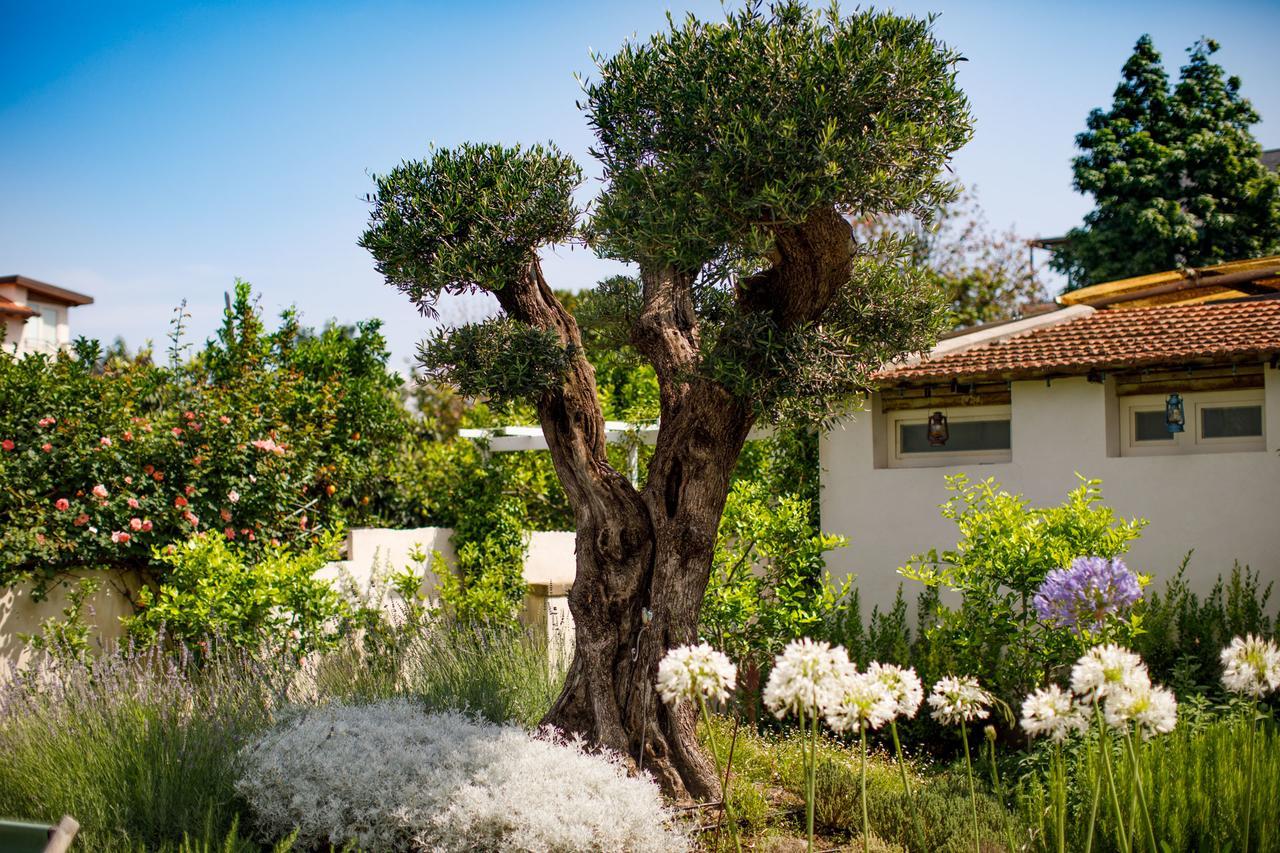 Reggine Holiday Apartments Sant'Agnello Luaran gambar